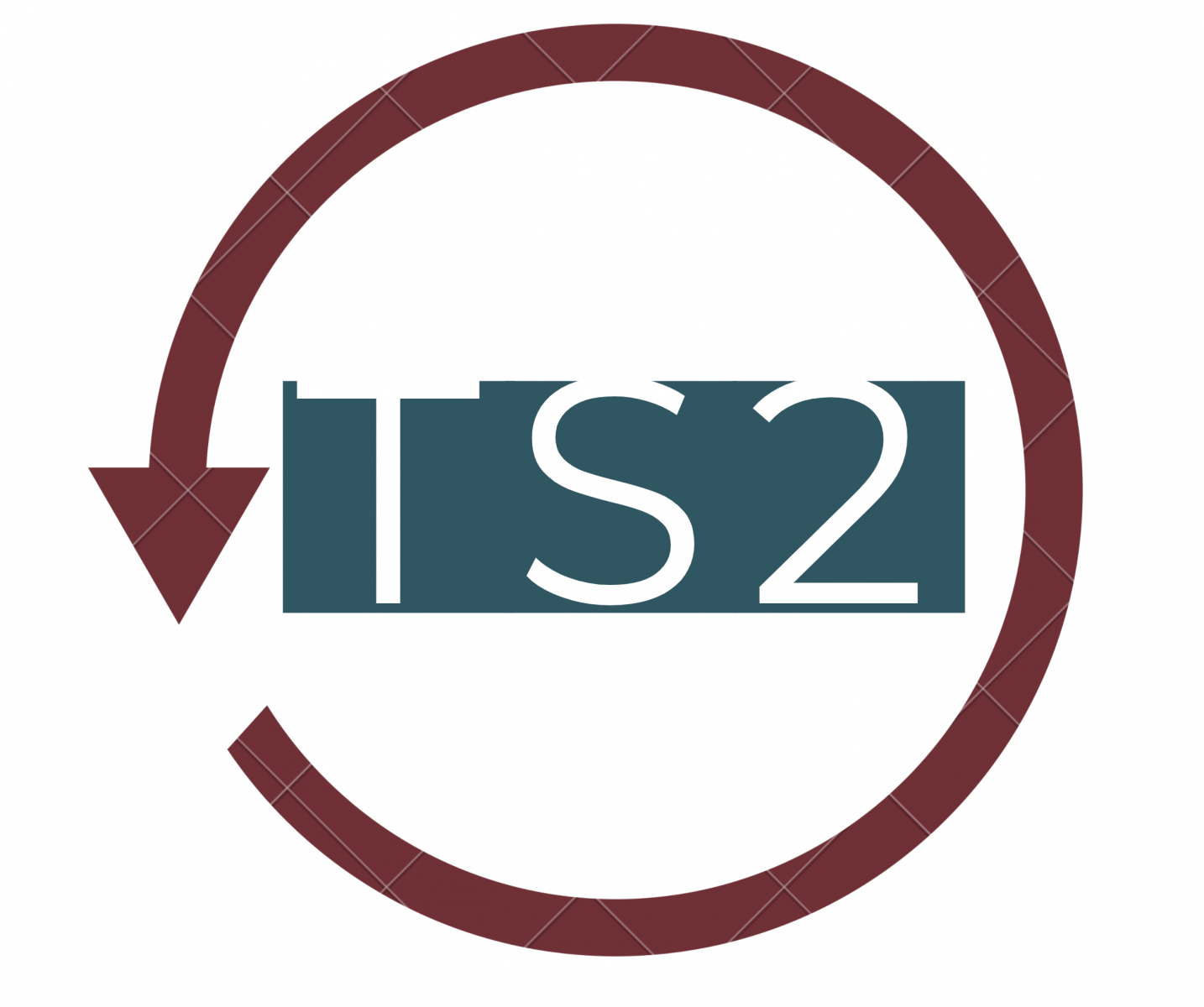 Logo TS2